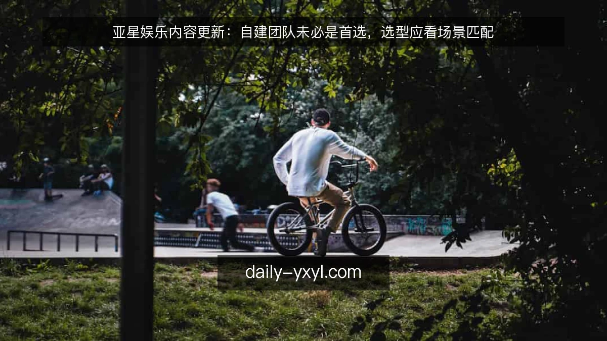 亚星娱乐内容更新：自建团队未必是首选，选型应看场景匹配